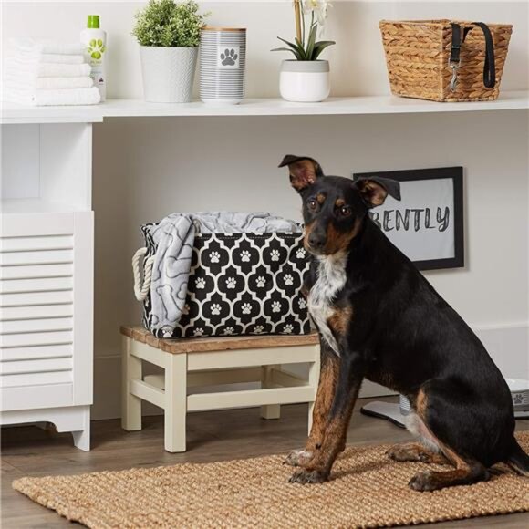 Pet Storage Collection Lattice Paw Print, Small Rectangle, Black - Picture 6 of 7